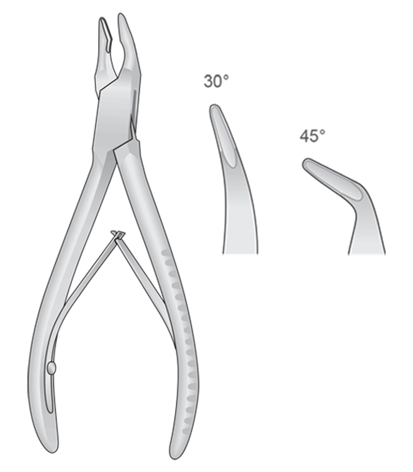 img-1584.png Friedmann Bone Rongeurs - Image 1