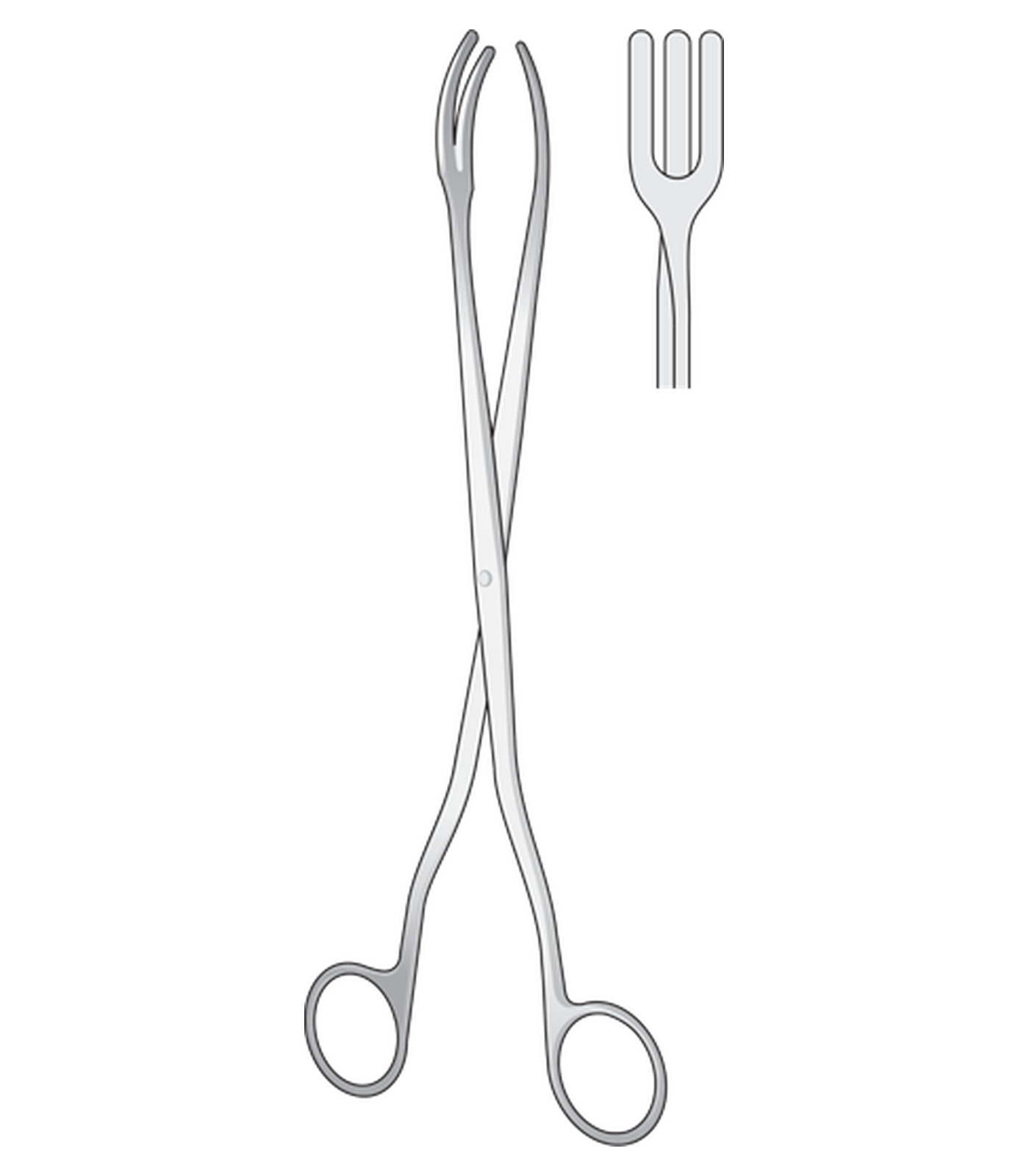 img-1669.png Sterilizing Forceps - Image 1
