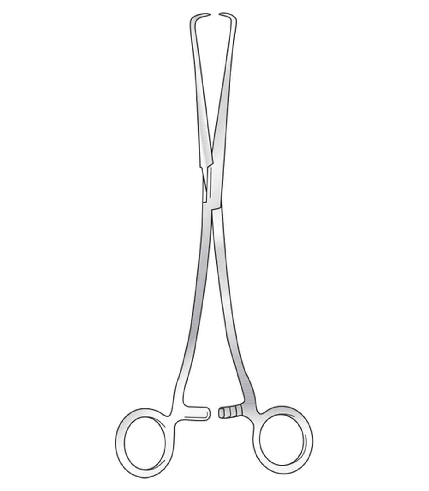 img-1775.png Schroeder Uterine Vulsellum Forcep - Image 1
