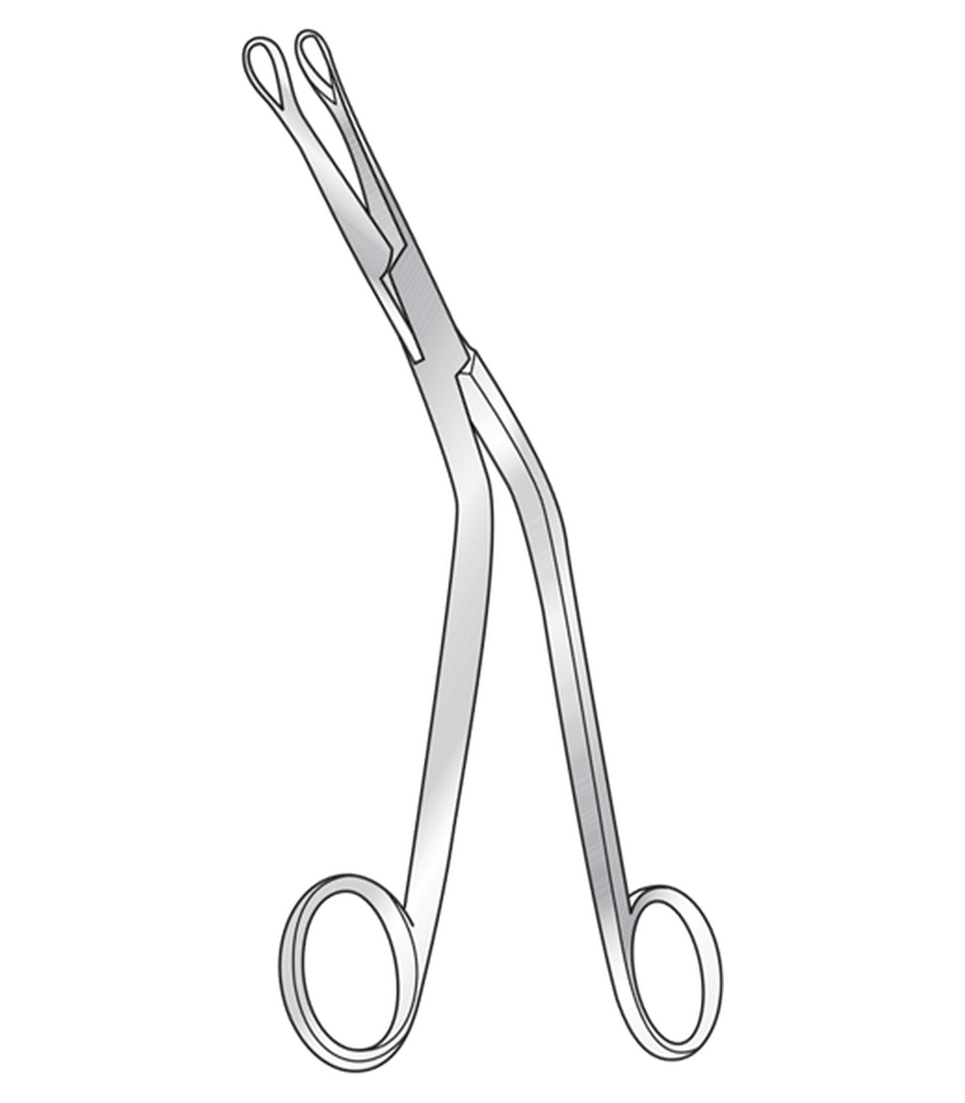 img-189.png Denis Browne Tonsil Holding Forceps - Image 1