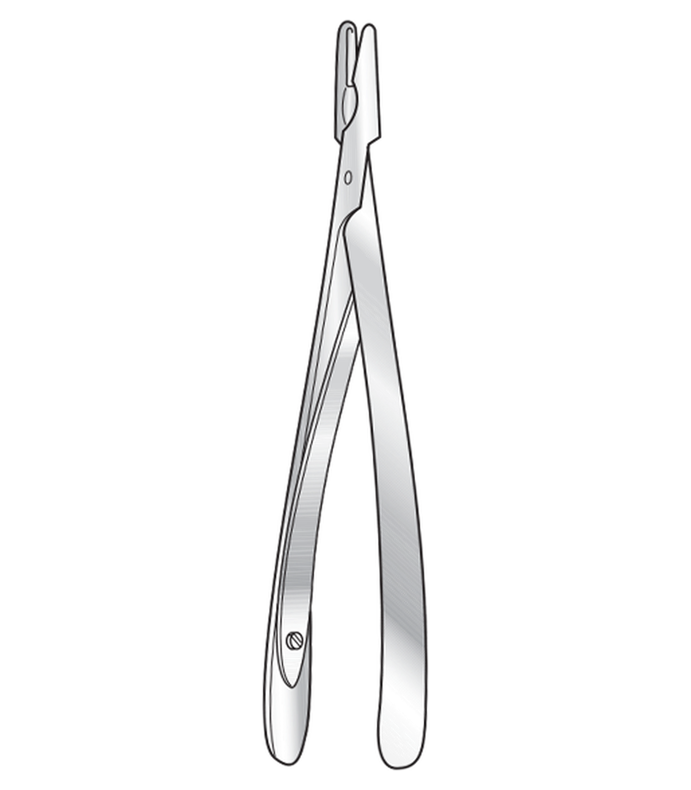 img-203.png Lempert Nibbling Forceps - Image 1