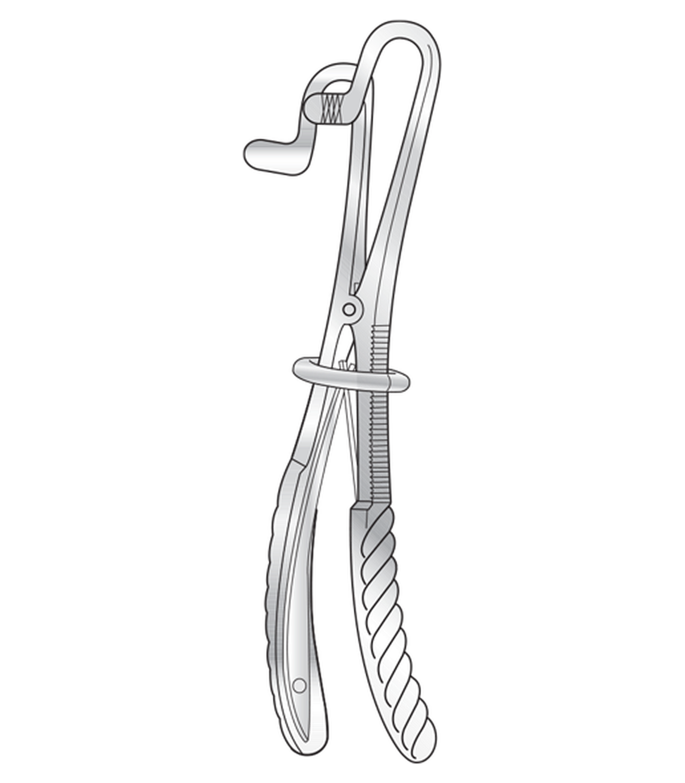 img-205.png Fergusson Ackland Mouth Gag - Image 1