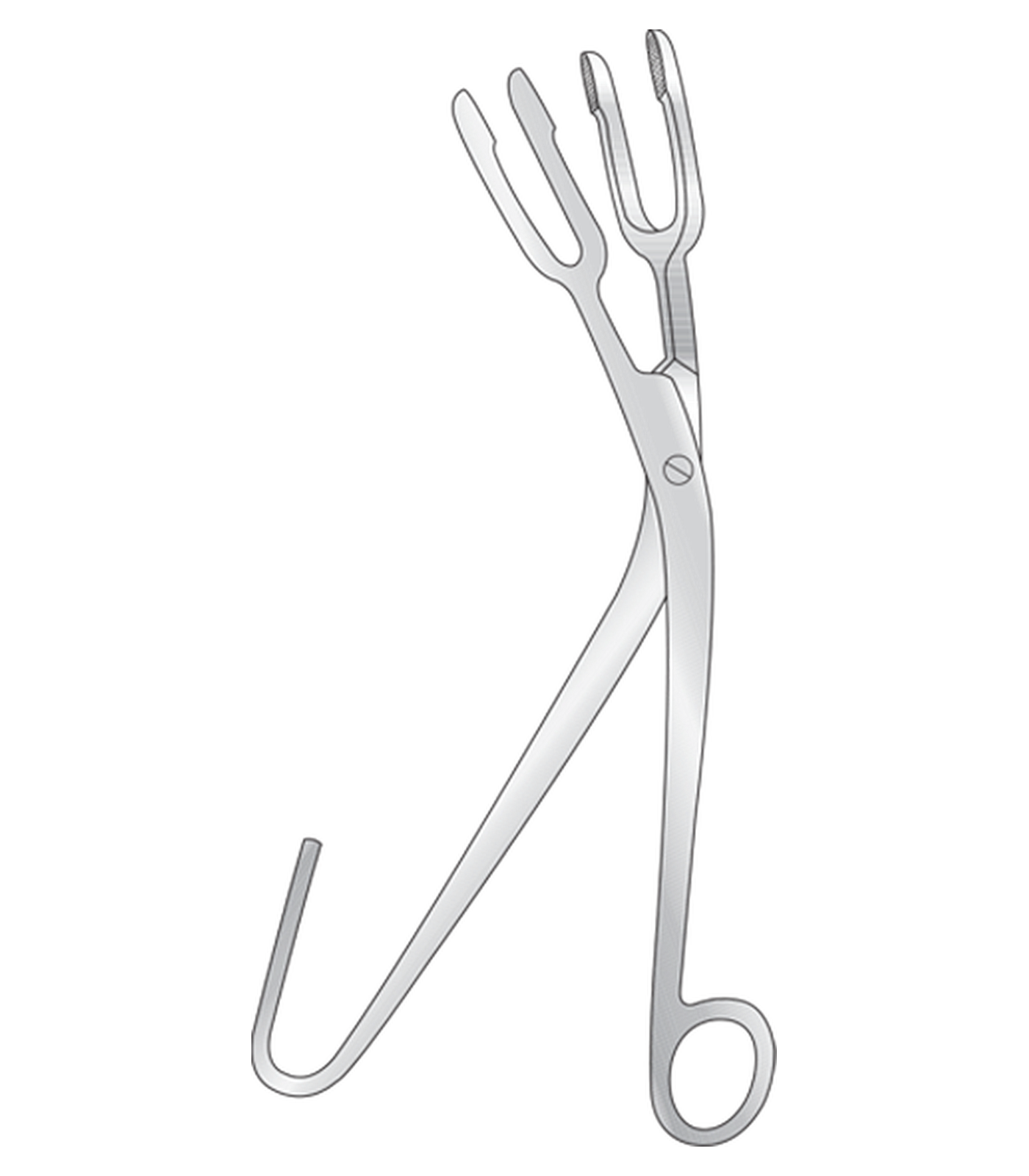 img-209.png Harrison Bowl Steriliser Forceps - Image 1