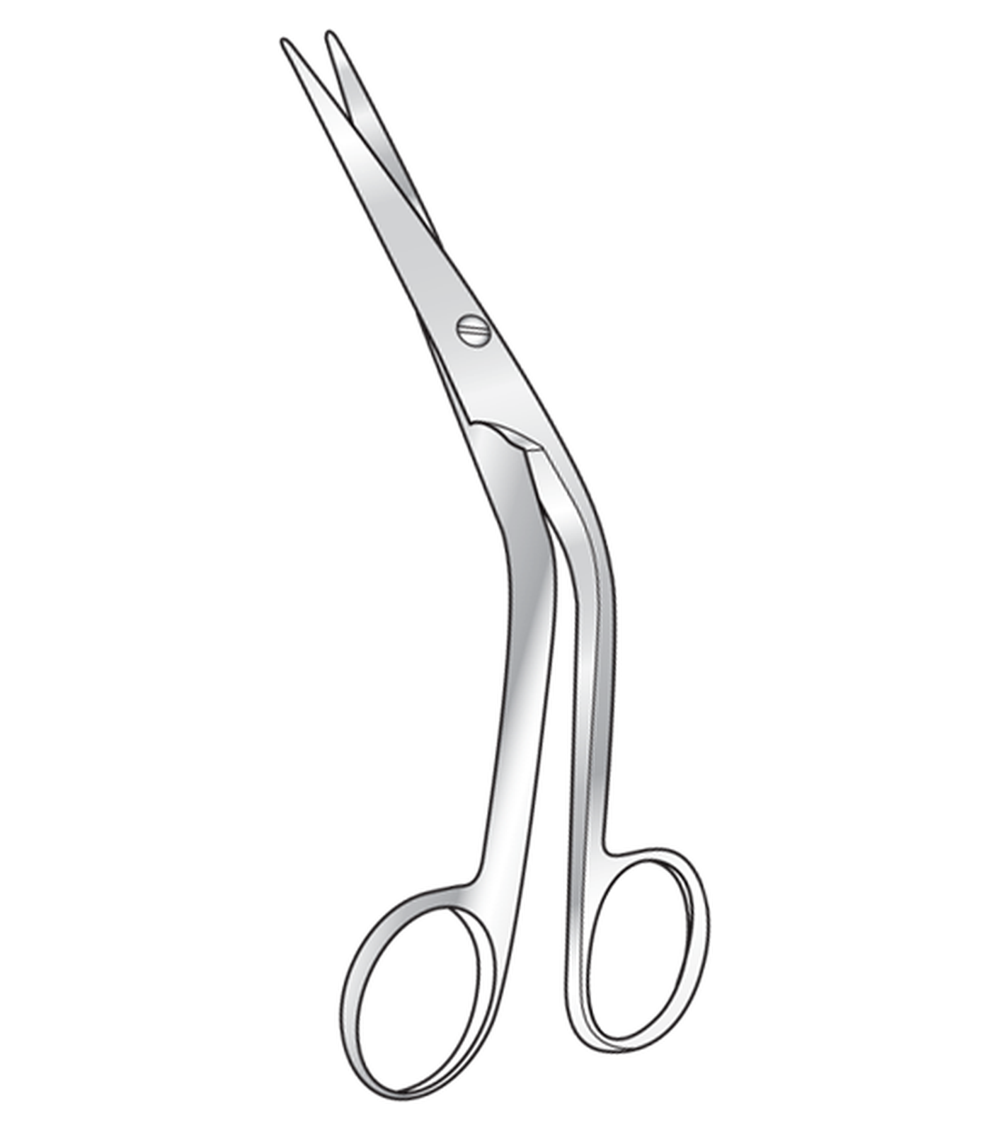 img-255.png Cottle Scissors - Image 1
