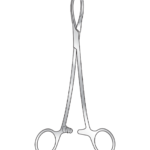 Littlewood Tissue Forceps