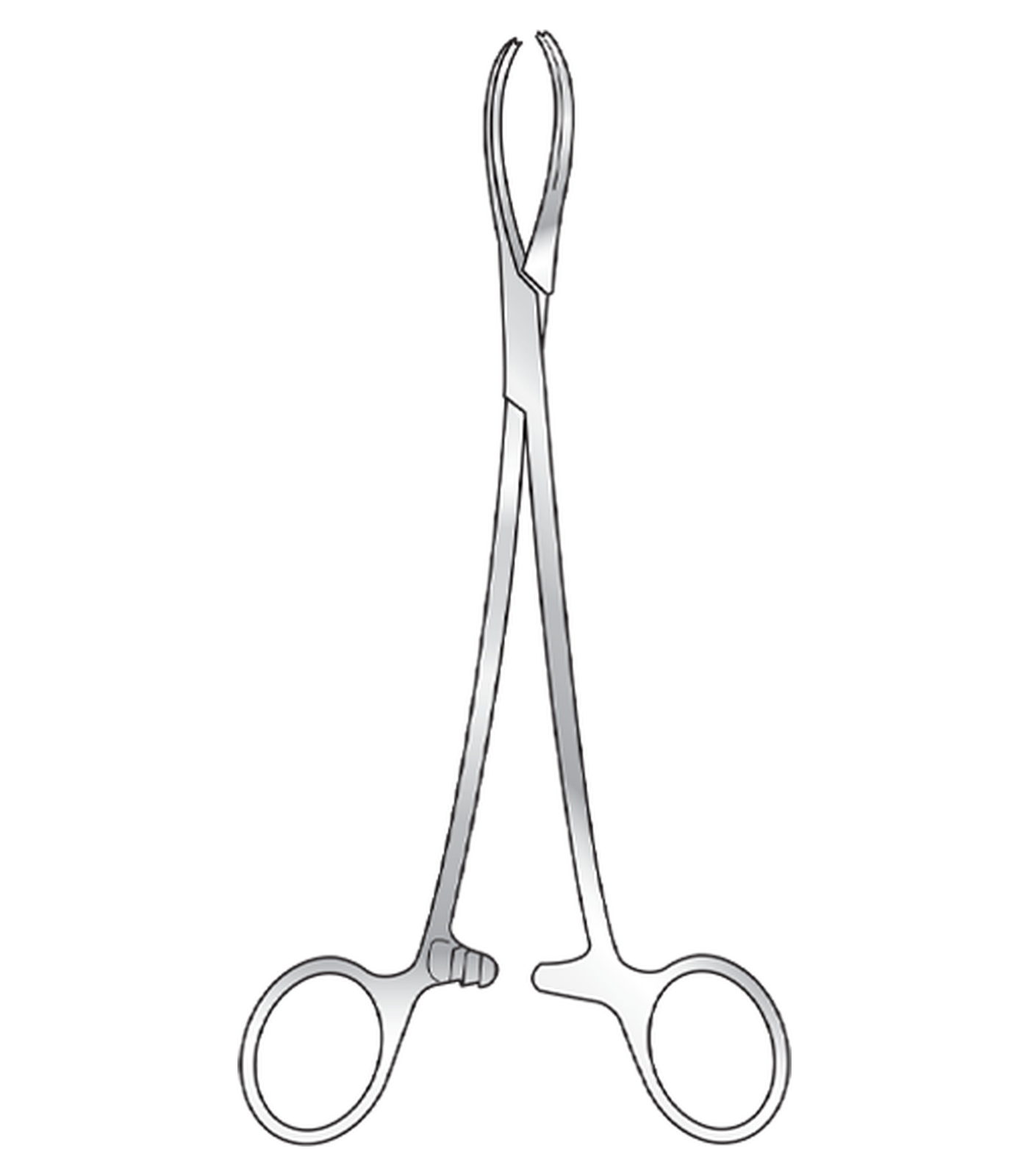 img-37.png Littlewood Tissue Forceps - Image 1