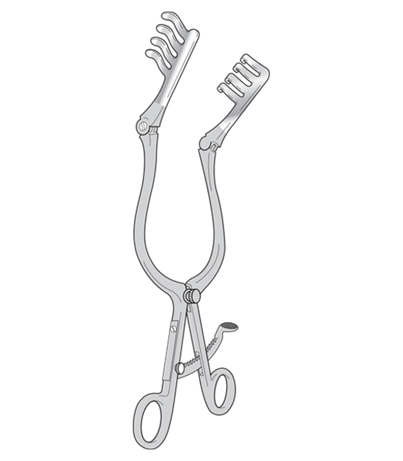img-406.png Mayo-Adson (Beckmann) - Image 1