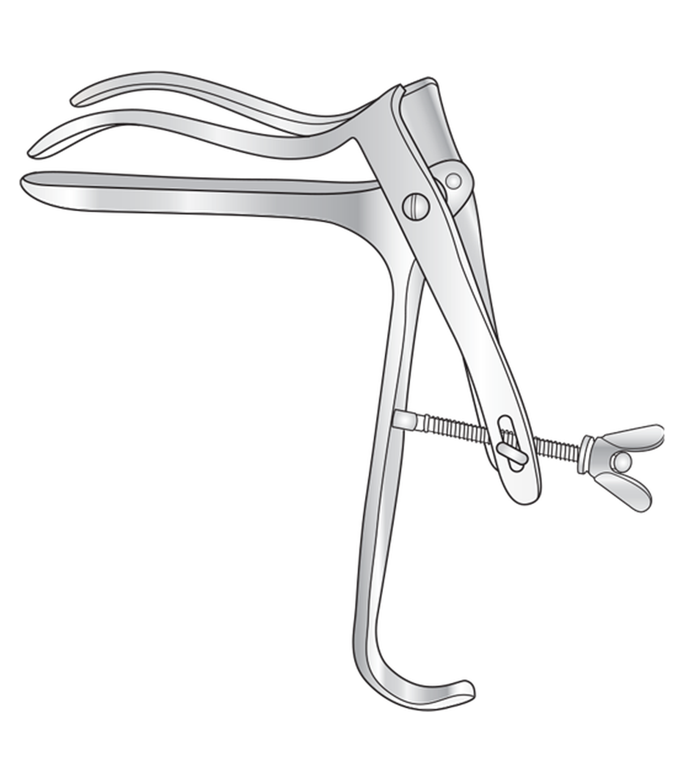 img-55.png Nott Speculum - Image 1