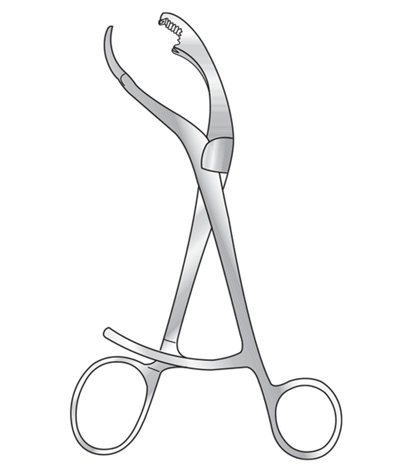 img-568.png Verbrugge Bone Holding Forceps - Image 1