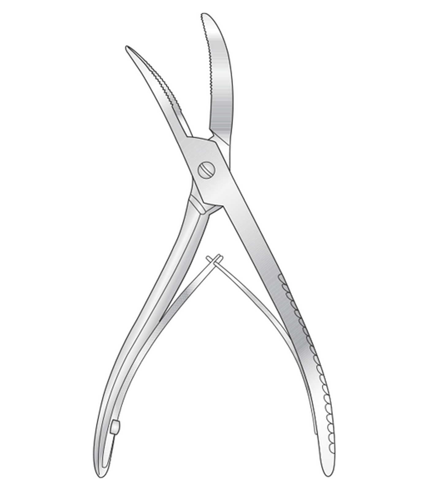 img-576.png Wolf Plaster Spreader - Image 1