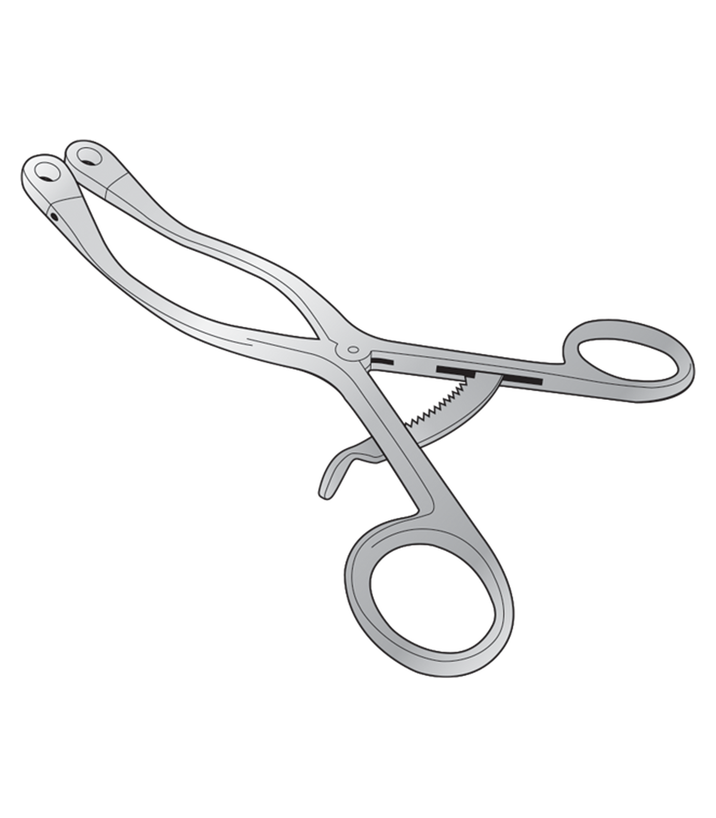 img-778.png Kolbel Self Retaining Glenoid - Image 1