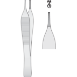 Adson Forceps