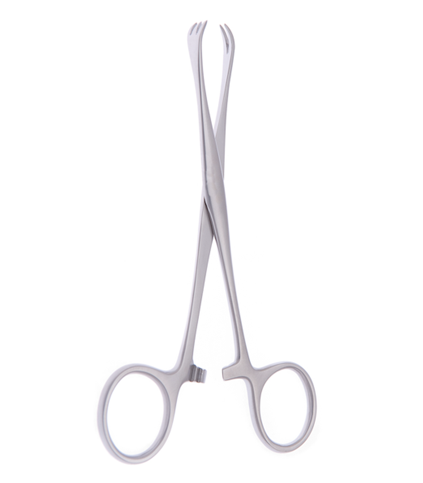 img-823.png Poirier tissue forceps - Image 1